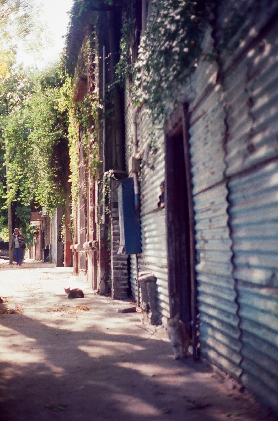 Fotografía de Santiago Ornaghi