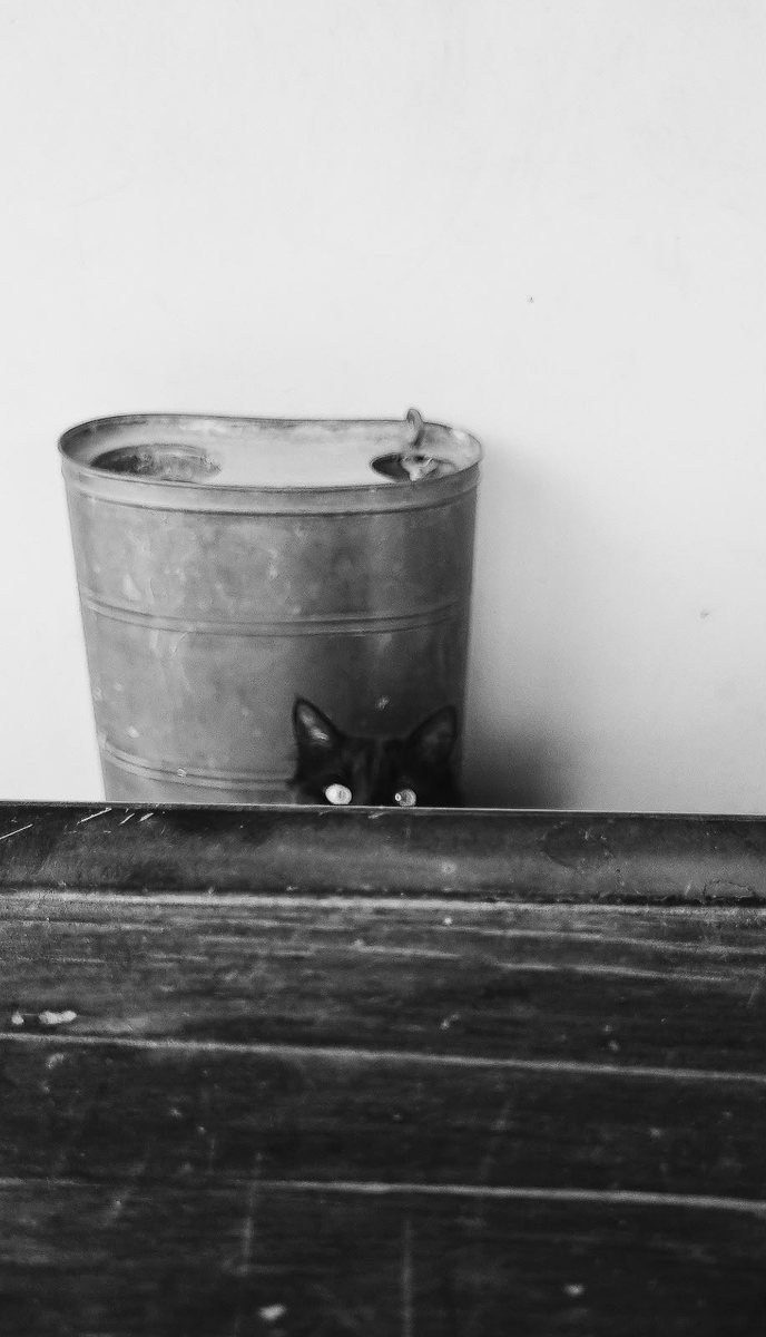 Fotografía de Santiago Ornaghi