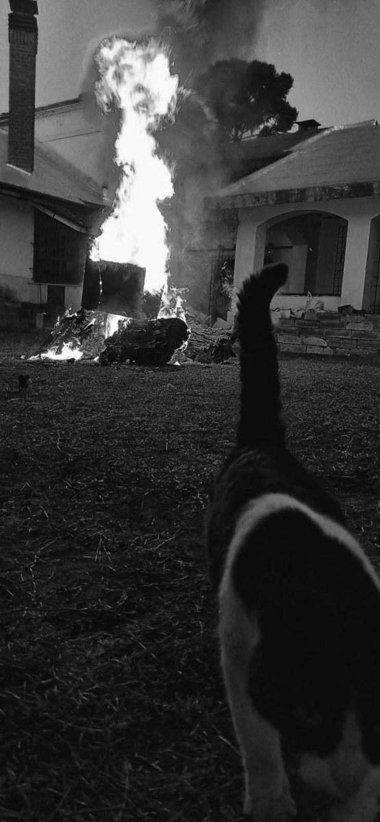 Fotografía de Santiago Ornaghi