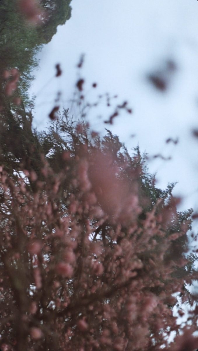 Fotografía de Santiago Ornaghi